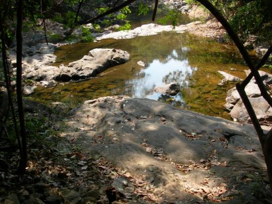 ���� � ��������