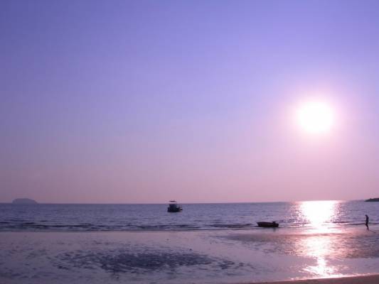 ����  �� ������