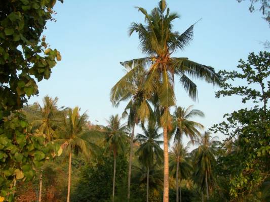 ���������...