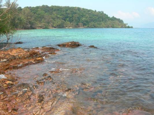 Koh Wai