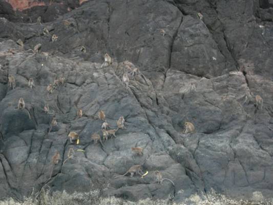 ������ �������