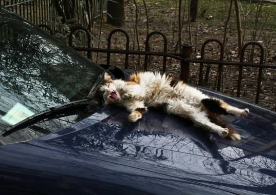 �������� ������� ������ � ���� � �������� :) 