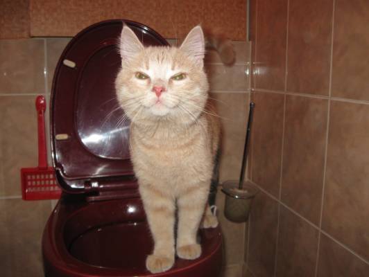 ���� � ������