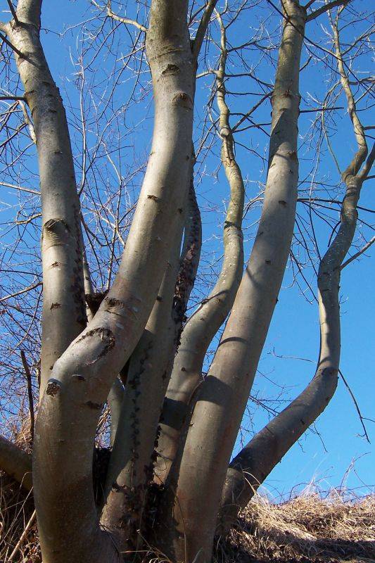 ��� � ������