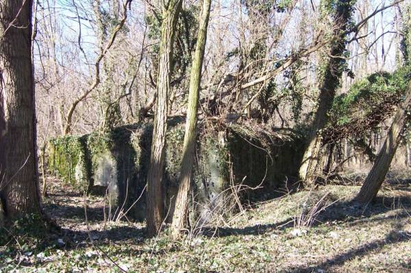 ���� �����, ����� ������