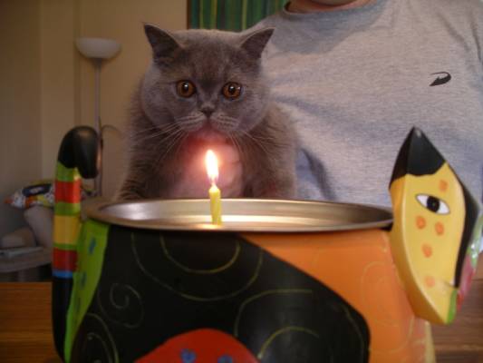 ���� 1 ���