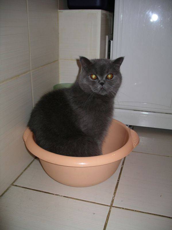 � ������ 2