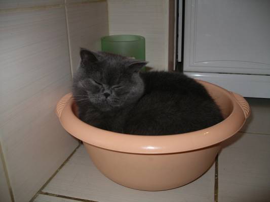 � �������� ������ �������� ���