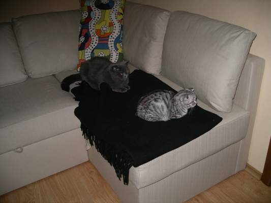 �������