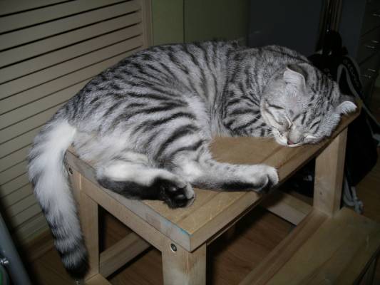 � ������!