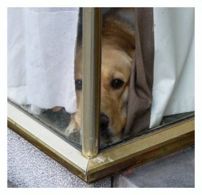 �� ����� ....