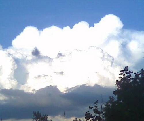 ������