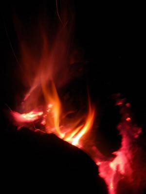 ������ � �������