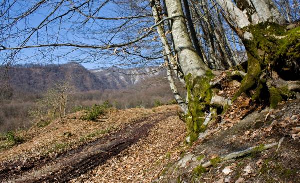 ������ ������ 