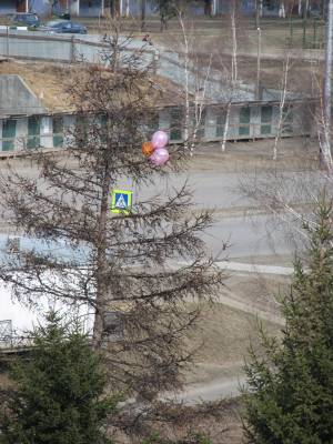 ����� ��������� ��������...