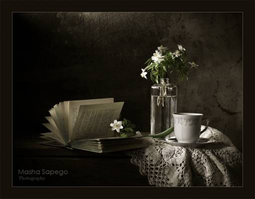 � ������ (�������)