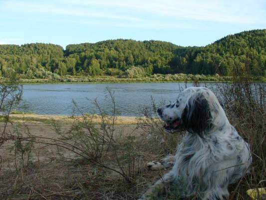 � ���� �, � ���!