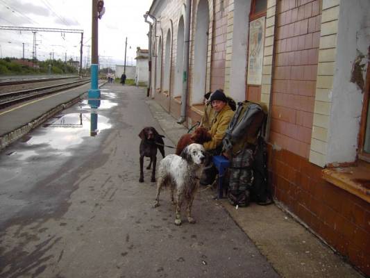 �� �������