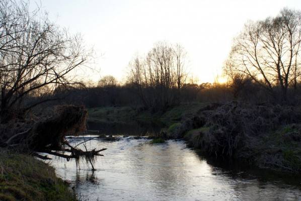 �� ������