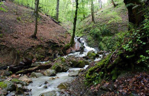 ��������� �����