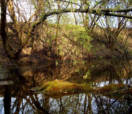 ������ �������