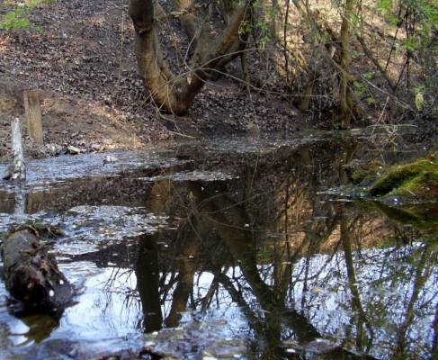 ������ �������