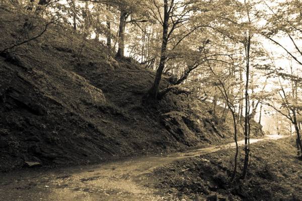 ���� �� �������� ���� ������?