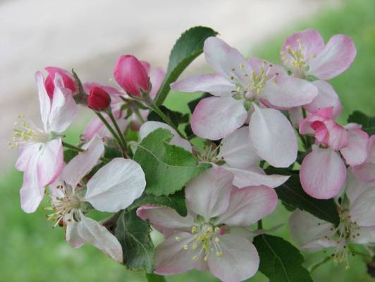 ��������� �����