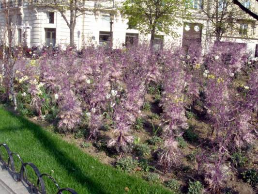 �������� ���� ������