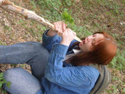 ��� ���������