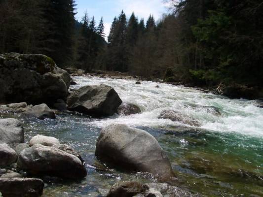 ���� �������