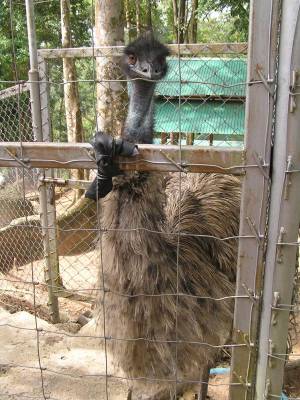 �������� � �����