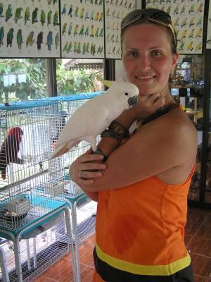 � ��������2