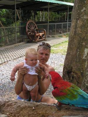 � ��������3