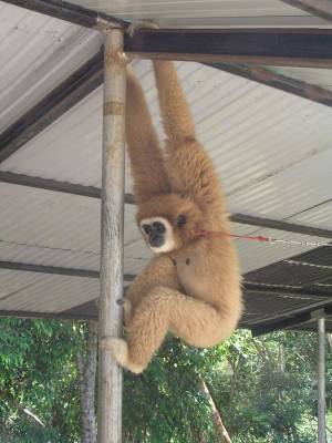 ��������2