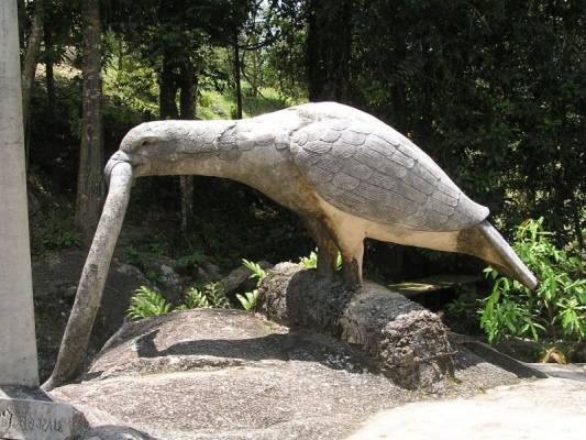 ���� �����