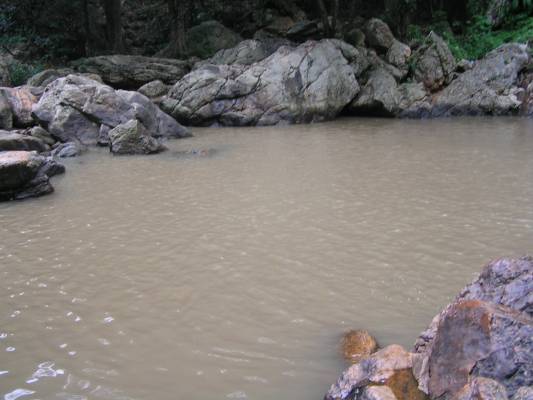 ���� ��� �������