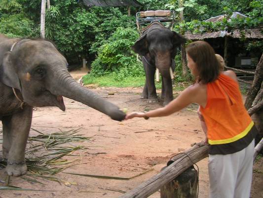 ��������� ������