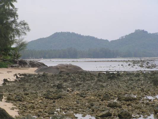 ����� �� ���