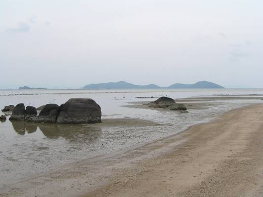 ���� �� 4000 � �����