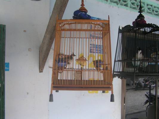 ������� � ������� ����