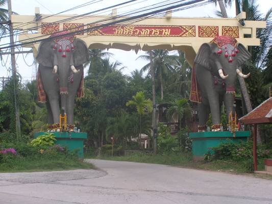 ������ ������