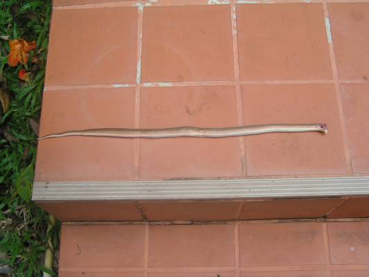 �������� ������ ����