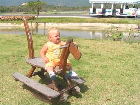 �� �������� ����