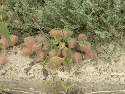 ������� ����1