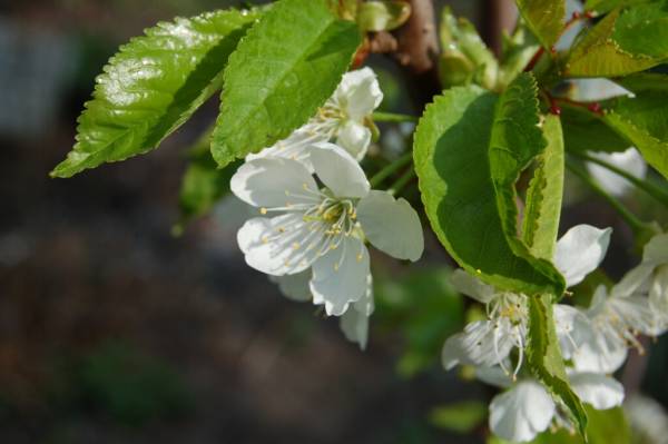 ���� ��� � ���....