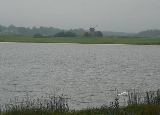 ������ �����