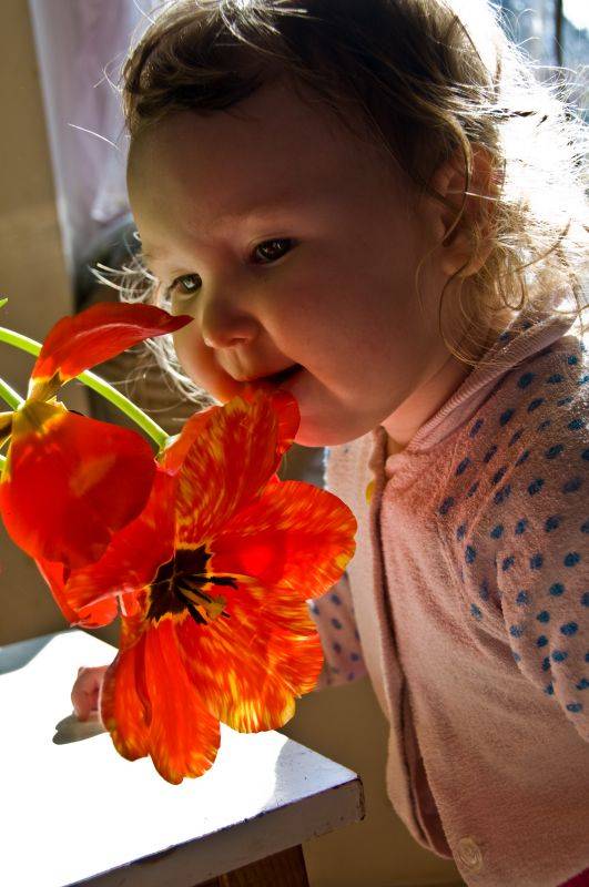 ����� �������