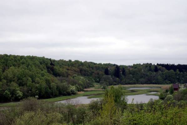 ������� ���������