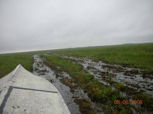 ������ �� �����